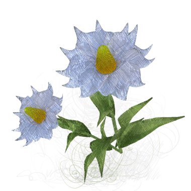 Beyaz arkaplanda güzel çiçekler