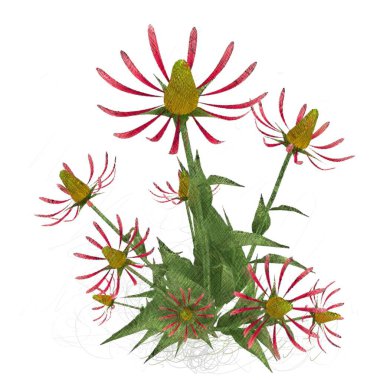 Beyaz arkaplanda güzel çiçekler