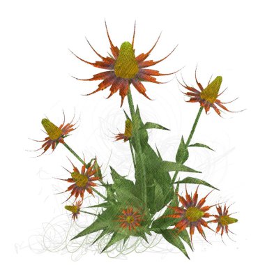 Beyaz arkaplanda izole edilmiş noel ağacı