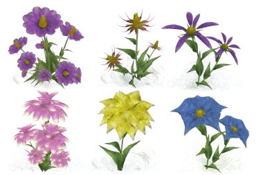 Beyaz arkaplanda güzel çiçekler