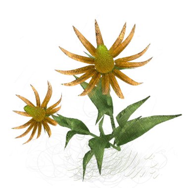 Beyaz arkaplanda güzel çiçekler