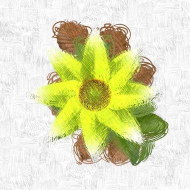 Beyaz arka planda güzel çiçekler