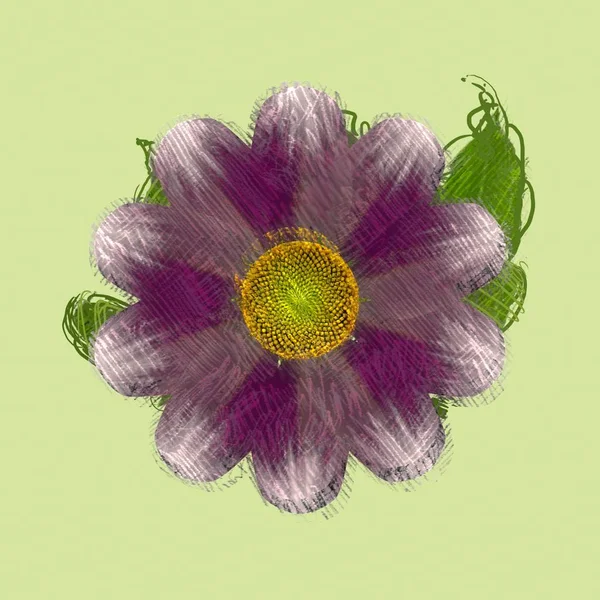 Fioletowy Kwiat Białym Tle — Zdjęcie stockowe