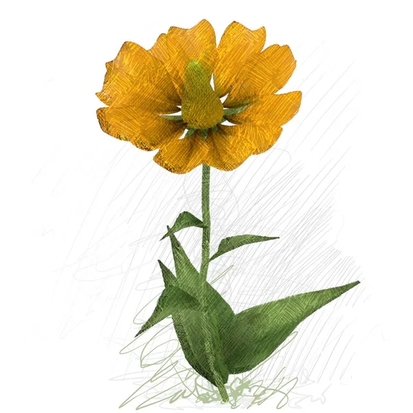 Beyaz arka planda izole çiçek