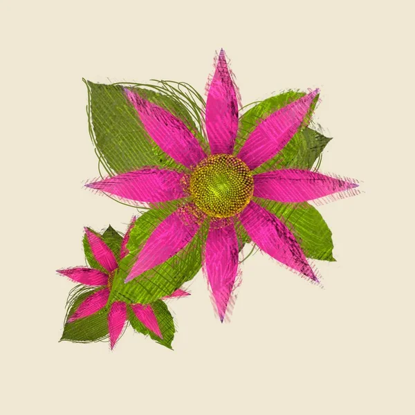 Akvarell Blomma Isolerad Vit Bakgrund — Stockfoto