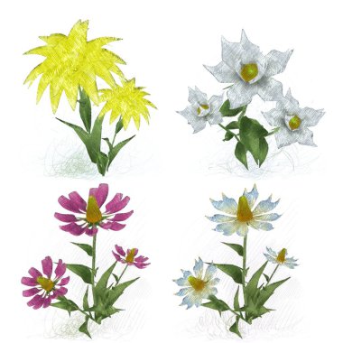 Beyaz arka planda suluboya çiçekler seti