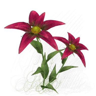 Beyaz arkaplanda güzel çiçekler