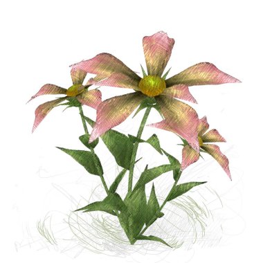 Beyaz arkaplanda güzel çiçekler 