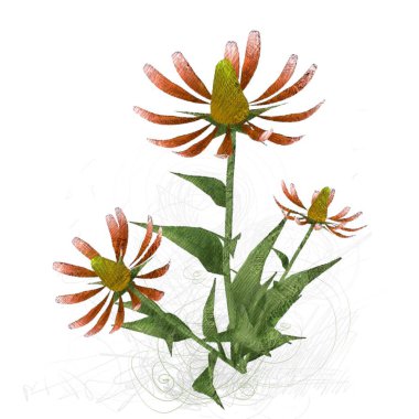 beyaz zemin üzerine suluboya çiçek