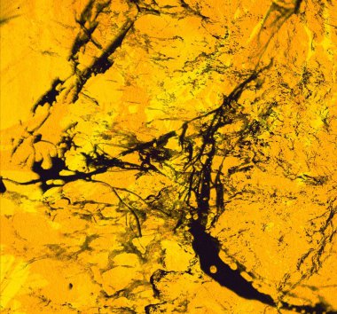 metin için alan ile arka planda soyut renkli lekeler