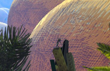 Parkta gün batımı