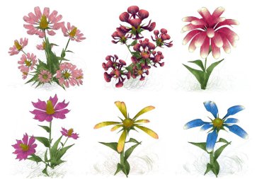 Beyaz arka planda suluboya çiçekler seti