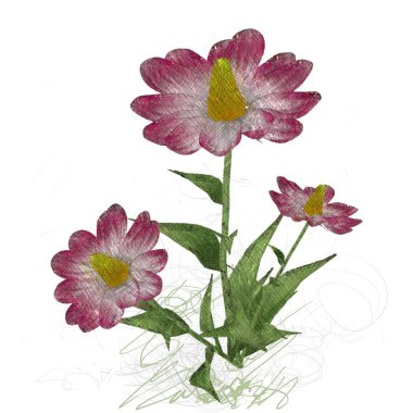 Beyaz arkaplanda güzel çiçekler