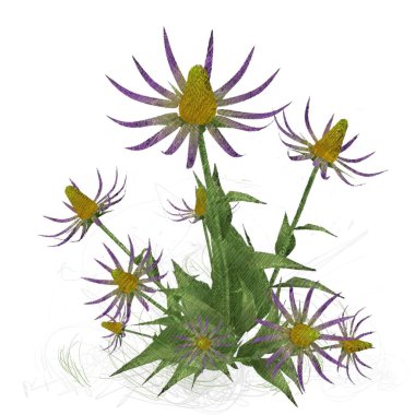 Beyaz arkaplanda güzel çiçekler