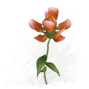 Beyaz arkaplanda güzel çiçekler