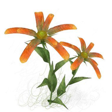 Beyaz arkaplanda güzel çiçekler