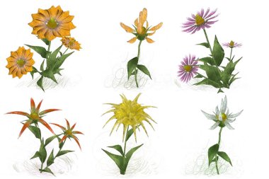 beyaz zemin üzerine suluboya çiçek