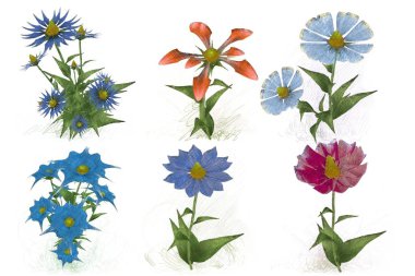 Beyaz arkaplanda güzel çiçekler