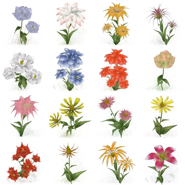 Çiçeklerle Kusursuz Desen — Stok fotoğraf
