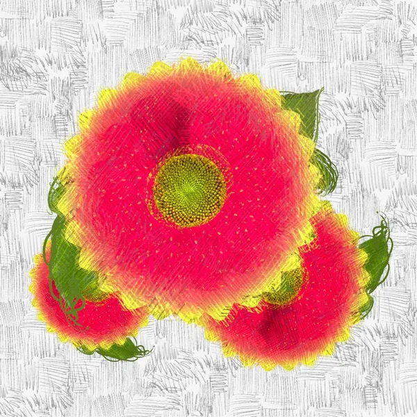 Colorful flower texture background