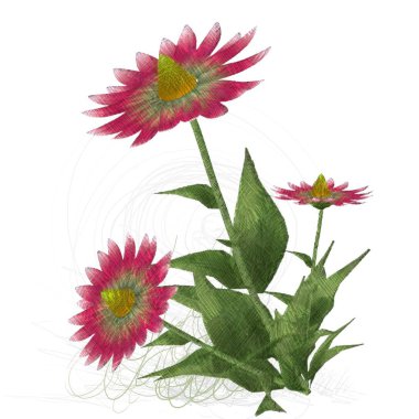 beyaz zemin üzerine suluboya çiçek