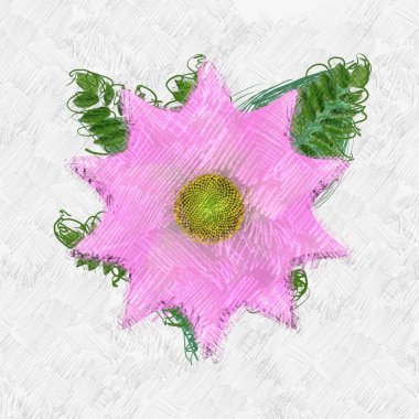 Beyaz arkaplanda pembe çiçekler