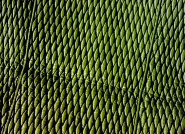 yeşil deri dokusu arkaplanı