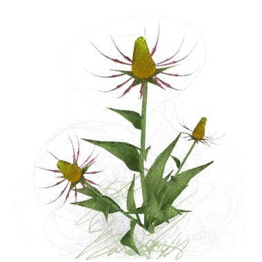 çiçekler ile suluboya çiçek