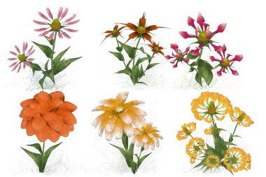 Beyaz arka planda suluboya çiçekler seti