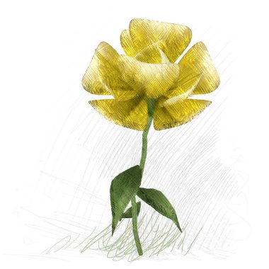 Beyaz arkaplanda güzel çiçekler