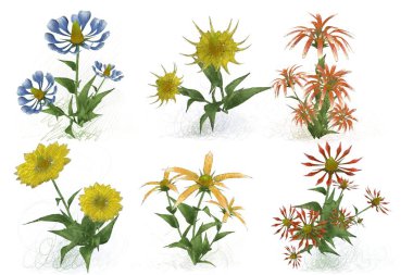 Beyaz arka planda güzel suluboya çiçekler