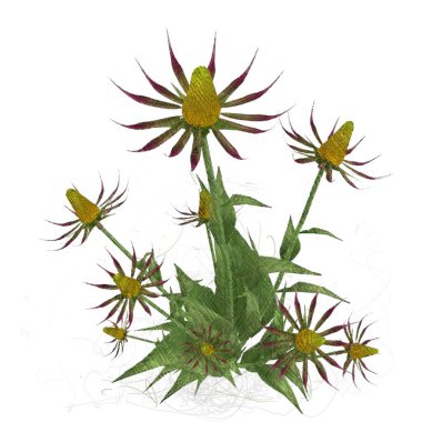 beyaz zemin üzerine suluboya çiçek