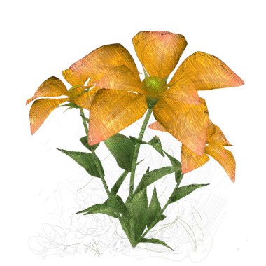 sonbahar yaprakları beyaz arkaplanda izole