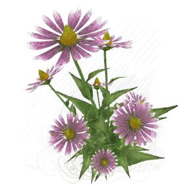 beyaz zemin üzerine suluboya çiçek