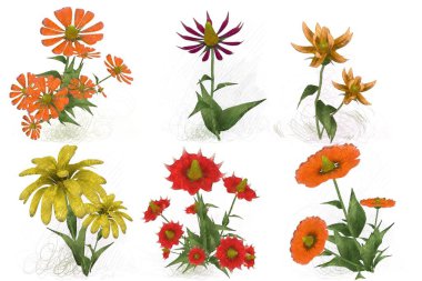 Beyaz arkaplanda güzel çiçekler