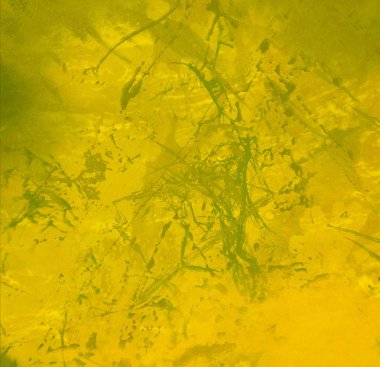 Metin için yeri olan boya lekeleriyle soyut arkaplan   