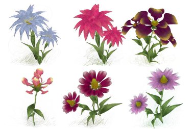 beyaz zemin üzerine suluboya çiçek