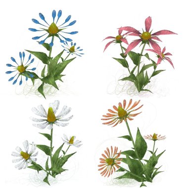 Beyaz arka planda suluboya çiçekler seti