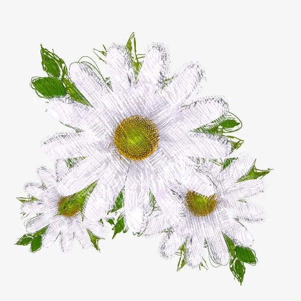 꽃꽃꽃 — 스톡 사진