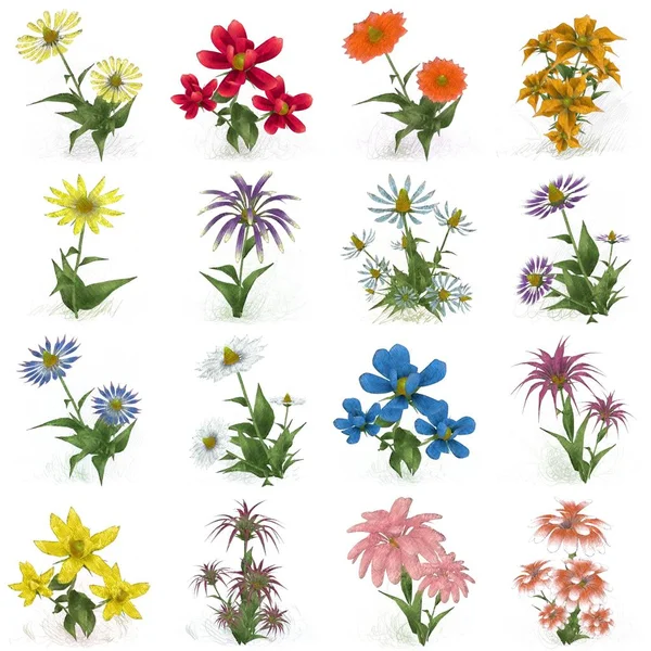 Set Von Aquarellblumen Auf Weißem Hintergrund — Stockfoto
