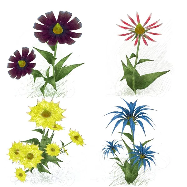 Bezproblemowy Wzór Akwarelowymi Kwiatami — Zdjęcie stockowe