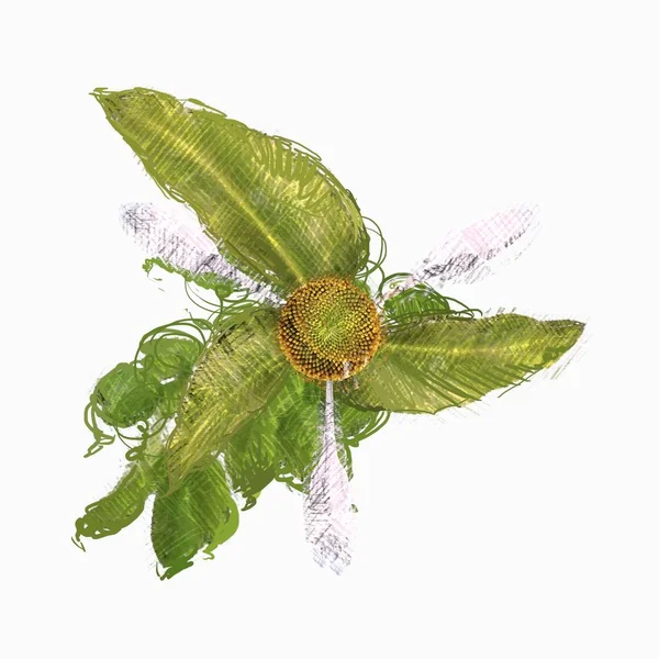 Πράσινο Φύλλο Απομονωμένο Λευκό Φόντο — Φωτογραφία Αρχείου