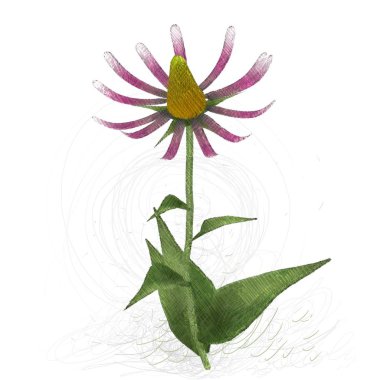 Beyaz arkaplanda güzel çiçekler