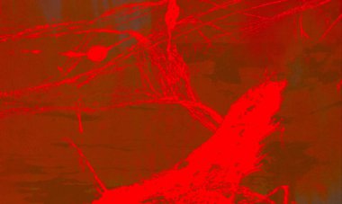 Metin için yeri olan boya lekeleriyle soyut arkaplan      