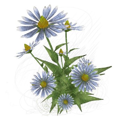 beyaz zemin üzerine suluboya çiçek