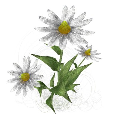 çiçekler ile suluboya çiçek