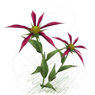 Beyaz arkaplanda güzel çiçekler 