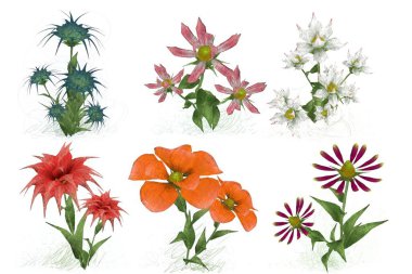 beyaz zemin üzerine suluboya çiçek