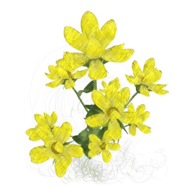 Beyaz arkaplanda güzel çiçekler 