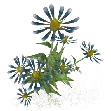 Beyaz arkaplanda güzel çiçekler 